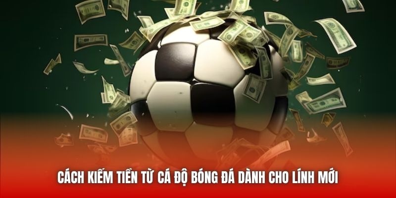 Cách kiếm tiền từ cá độ bóng đá dành cho lính mới 