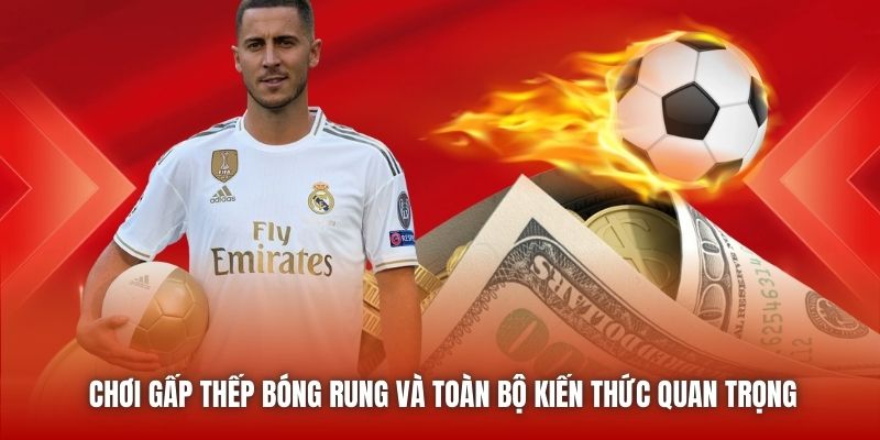 Chơi Gấp Thếp Bóng Rung Và Toàn Bộ Kiến Thức Quan Trọng